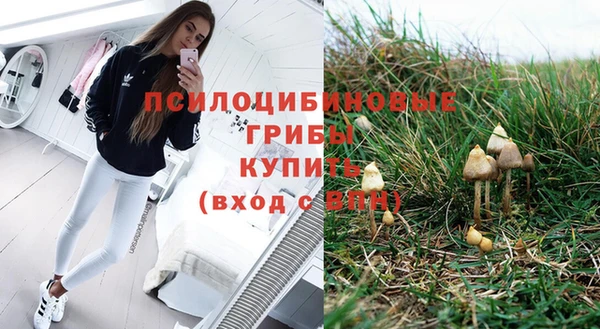 герыч Каменногорск