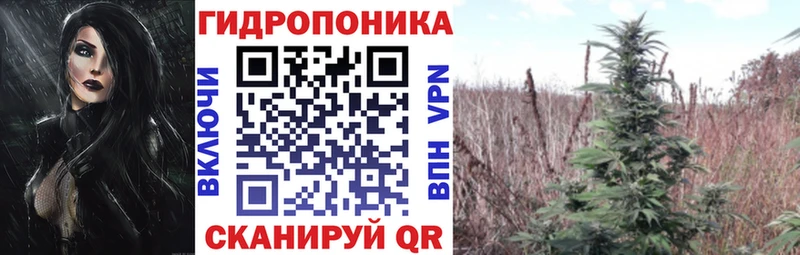 Бошки марихуана семена  Новосибирск 